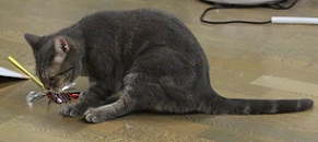 5DA_6618-14.jpg