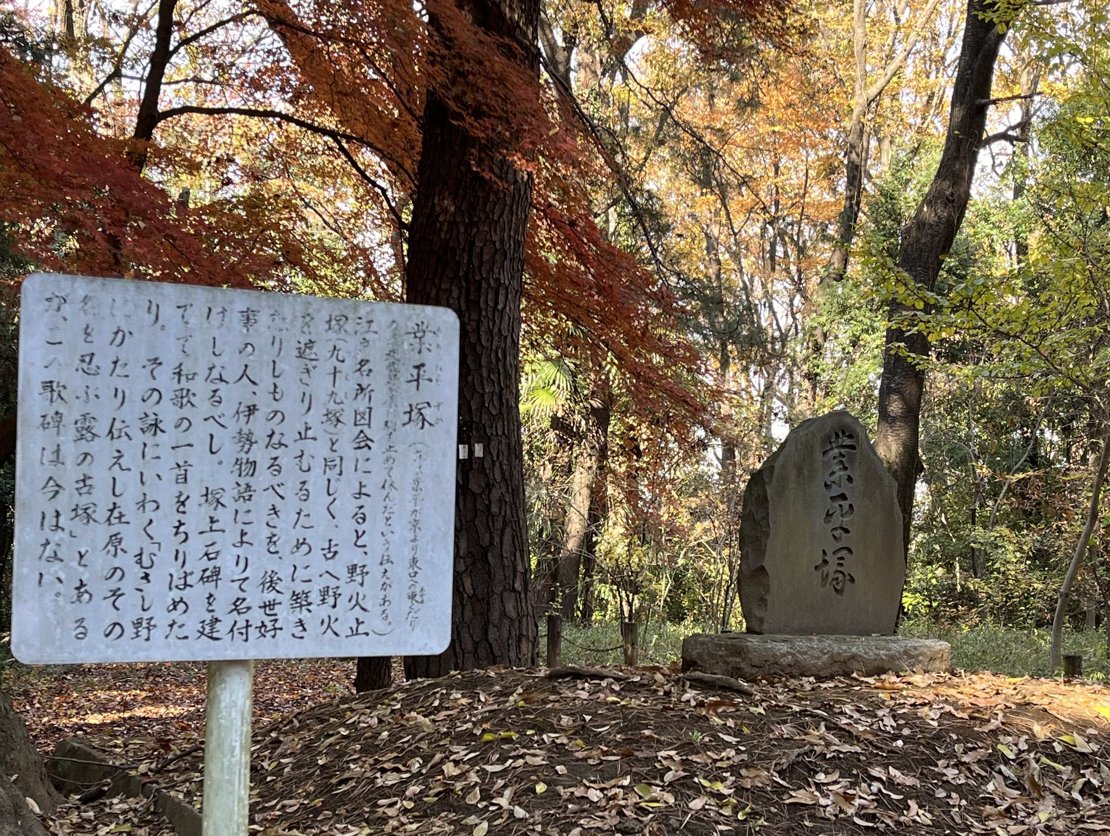 76:平林寺③境内林その2 | さとしのぶらり風景