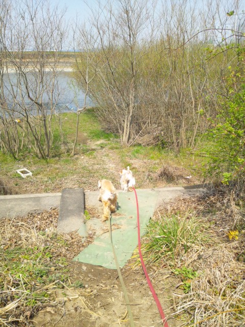 DVC00069.jpg