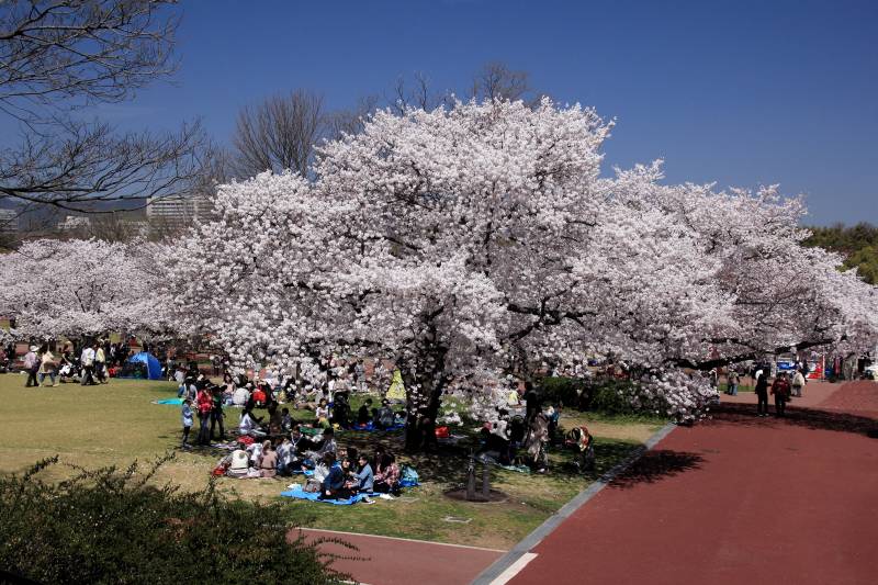 万博記念公園_006.jpg