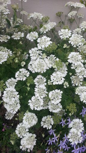 rblog-20140617214223-01.jpg