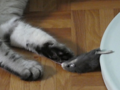 P1010220.JPG