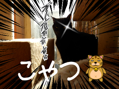 P11100972.png