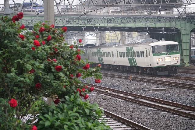 EF64 37牽引 旧客. 快速SL只見線 新緑号運転用 送り込み回送4