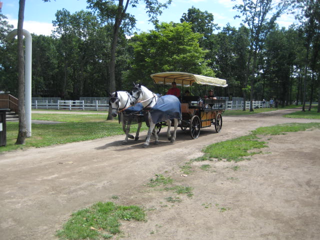 IMG_2116.JPG
