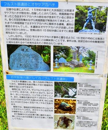 フルスト原遺跡の石垣島 08go To 脱集近閉キャンペーン スチュワデスが呆れたドクタートヒモイ公式げすとはうす 世界は基本的に広い んですけど 楽天ブログ