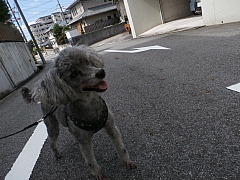 conv0722.JPG