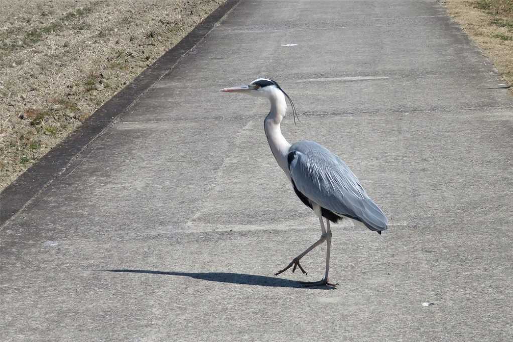 498