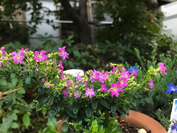 rblog-20181108170137-08.jpg