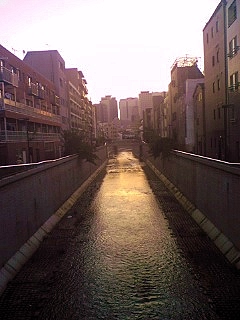 DVC00372.jpg