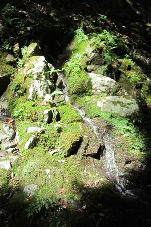 川遊び