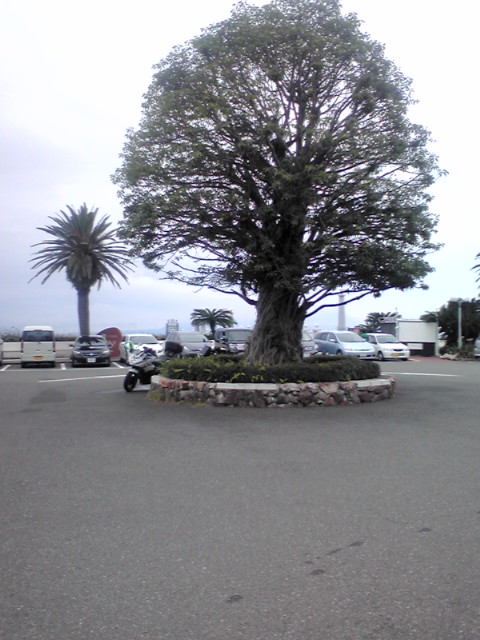 F1020005.JPG