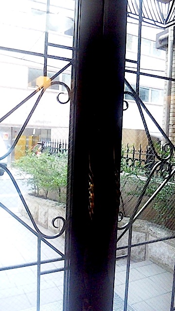 140225_162340.jpg