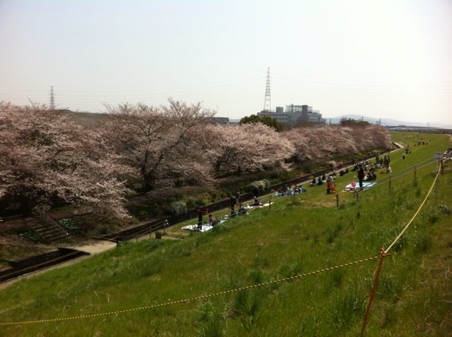 rblog-20130330114845-01.jpg