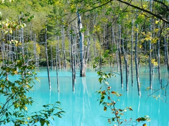青い池