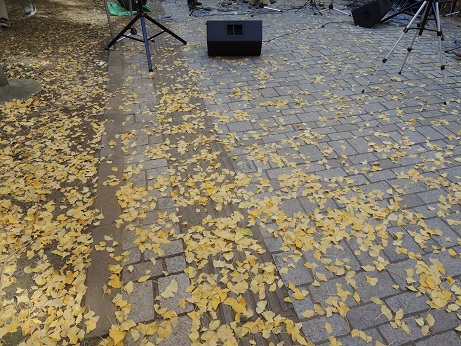 2013駒場のイチョウ(10%).jpg