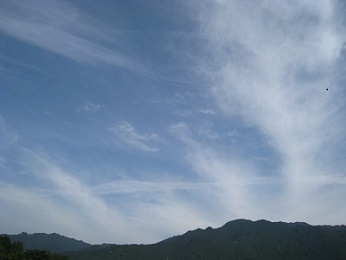 IMG_7962 縮小 - コピー.jpg