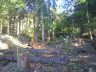 2012111614250000.jpg
