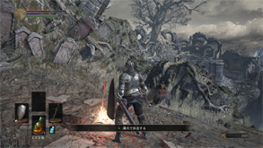 DS12.jpg
