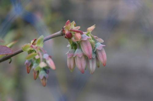 2015041705.JPG