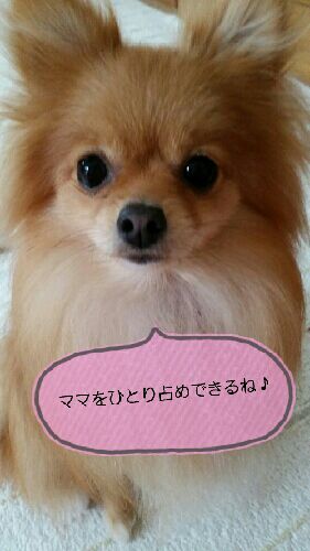 rblog-20150420090304-00.jpg