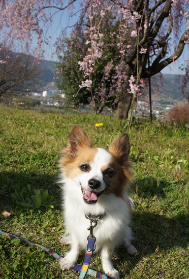 2014-0423-12.jpg