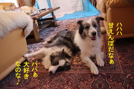 甘えん坊