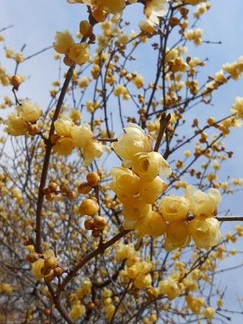 DSCN1713.jpg