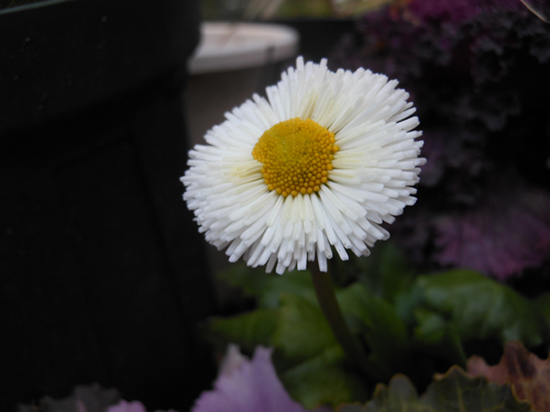 DSCN0473.JPG