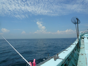 夏の海
