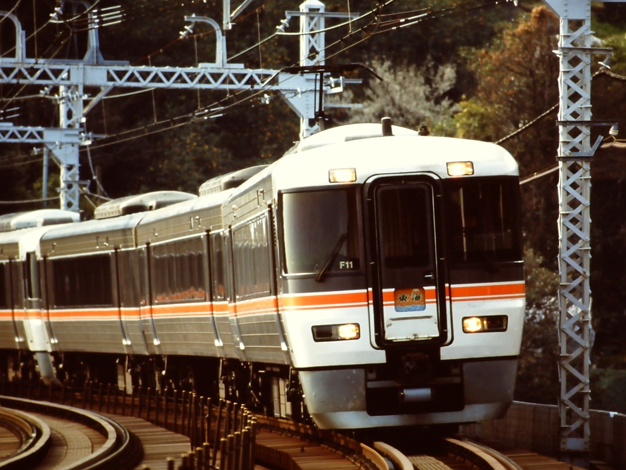 使い勝手が良いから今すぐの廃車は低い373系電車 Arakazu1554のブログ 楽天ブログ