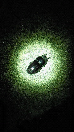 201308102052000.jpg