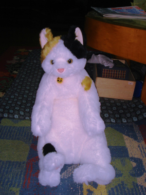 DSC08902.jpg