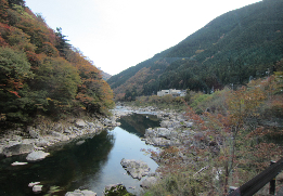 バスから飛騨川を