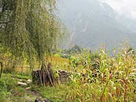 i-IMG_0469.jpg