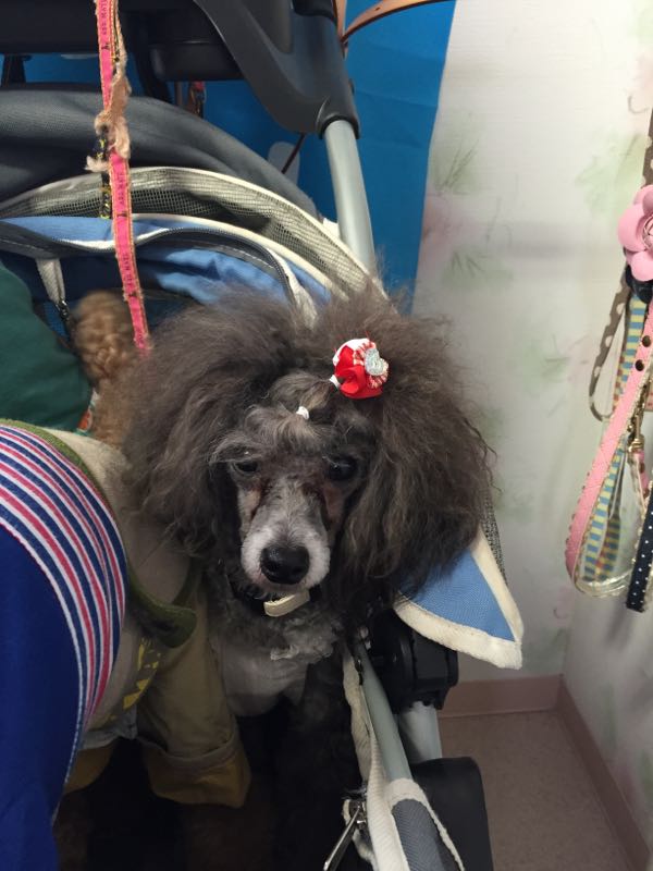 rblog-20150705221736-04.jpg