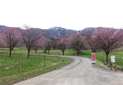 山形35.jpg