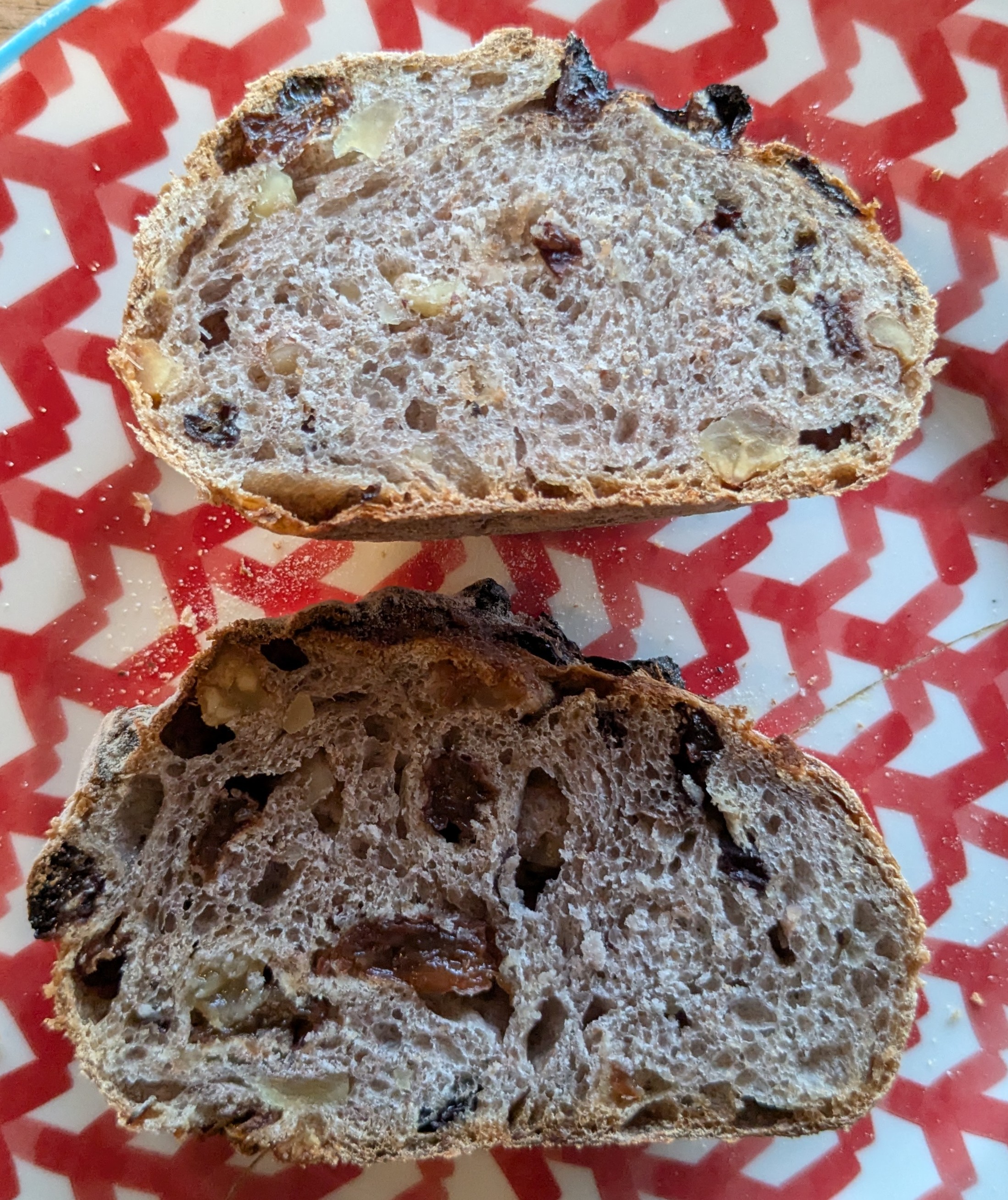 津田沼駅パン屋　グリドン　4種のレーズンとくるみの酵母パンの断面