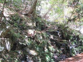 IMG_1765.JPG