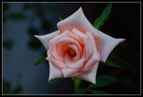 DSC_0019.JPG