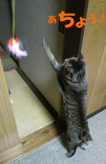 20140226あちょう！.jpg
