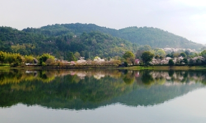 P1030376.JPG