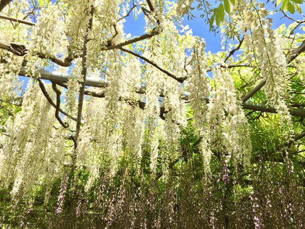 rblog-20180504233124-01.jpg