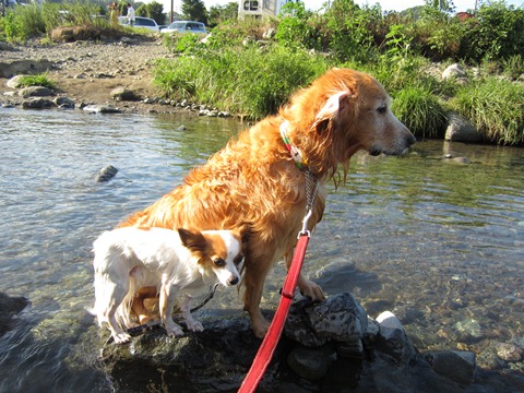 2012-0826-23.jpg