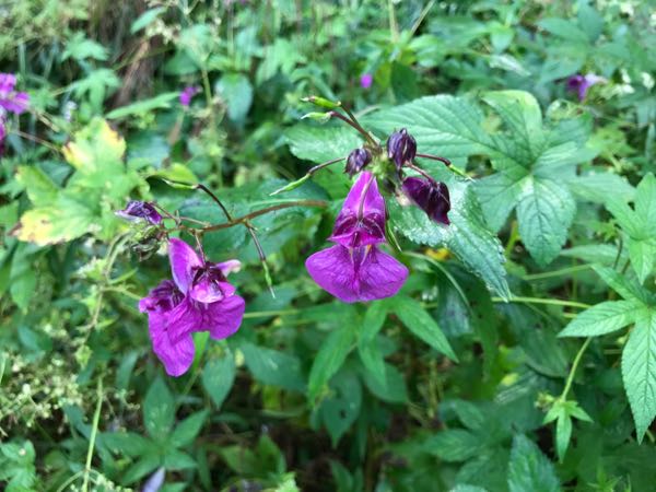 rblog-20170929122308-06.jpg