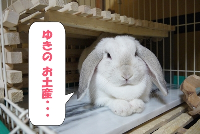 おみやげ・・・