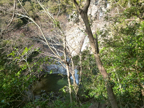 P1080542(1).JPG
