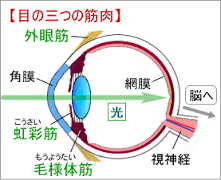 無題.png