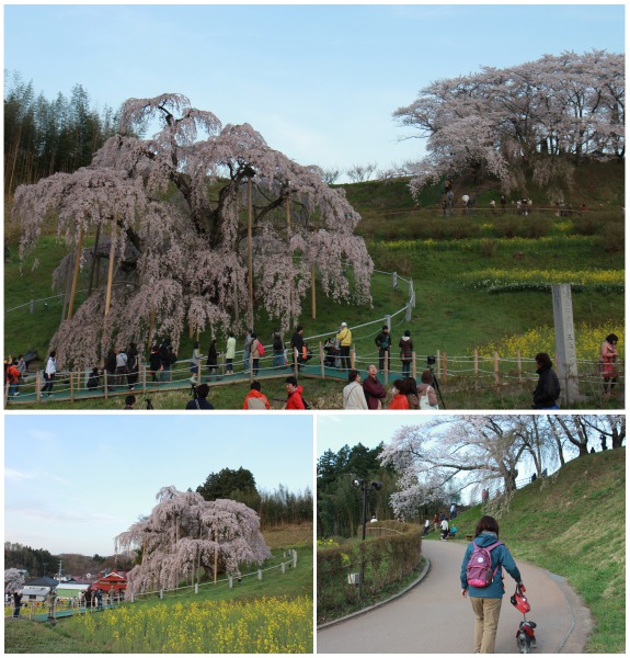 150419_05.jpg