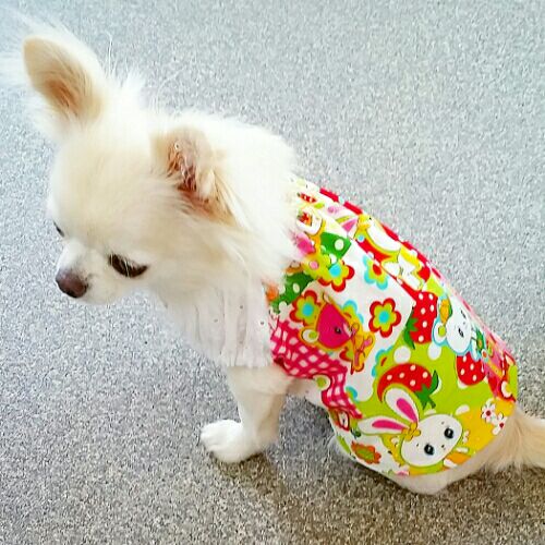 rblog-20160817133409-01.jpg